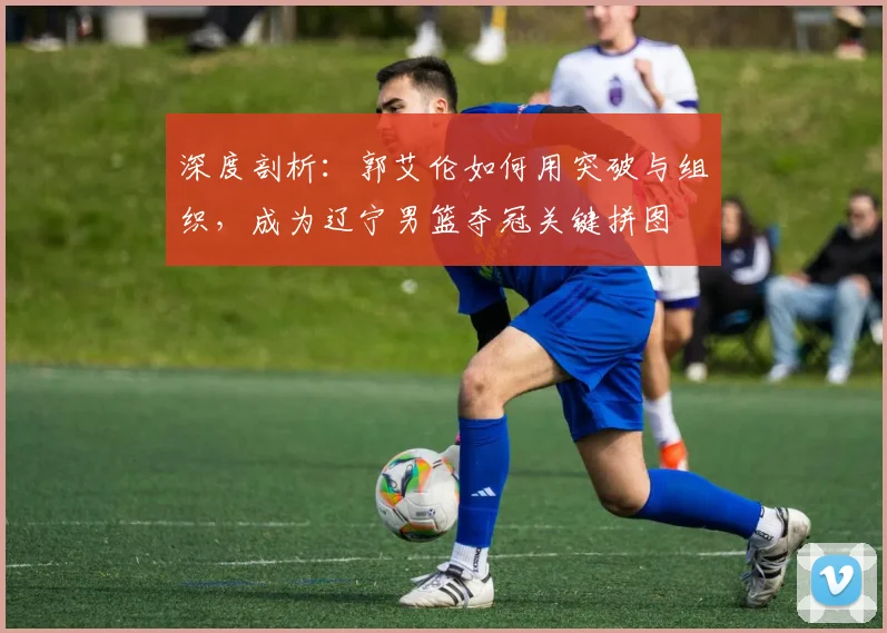 深度剖析：郭艾伦如何用突破与组织，成为辽宁男篮夺冠关键拼图