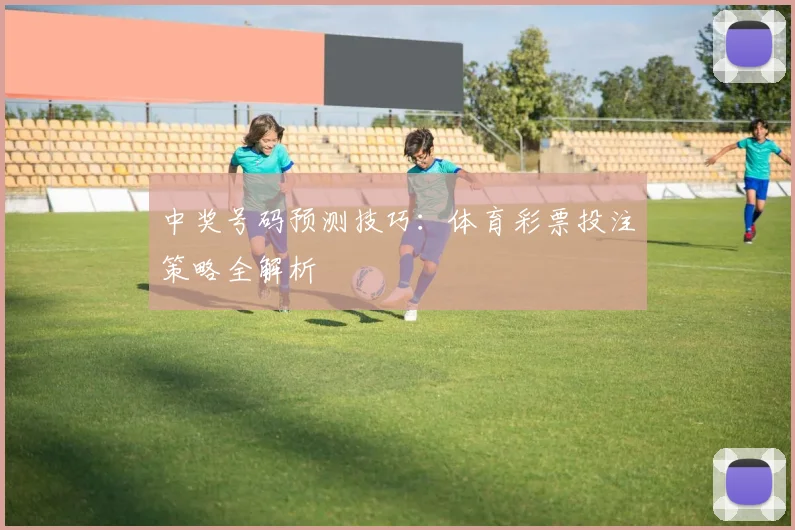 中奖号码预测技巧：体育彩票投注策略全解析