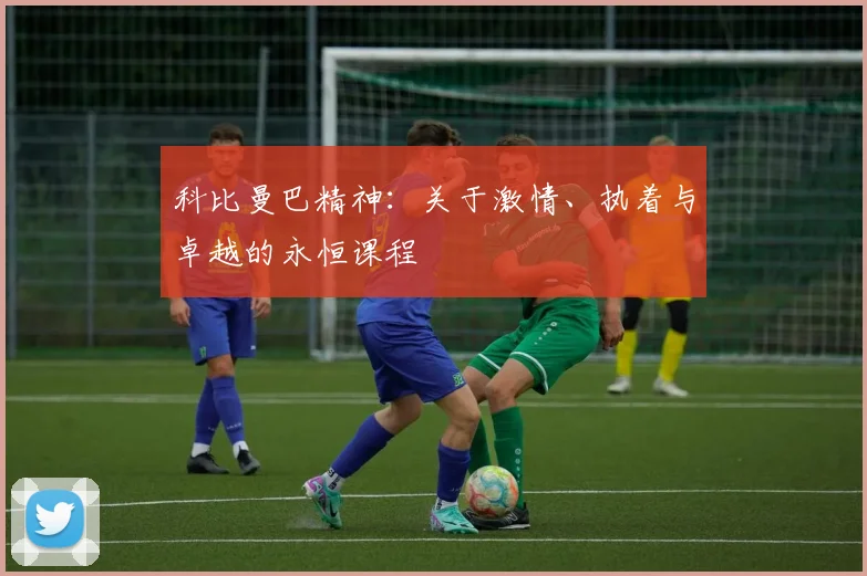 科比曼巴精神：关于激情、执着与卓越的永恒课程